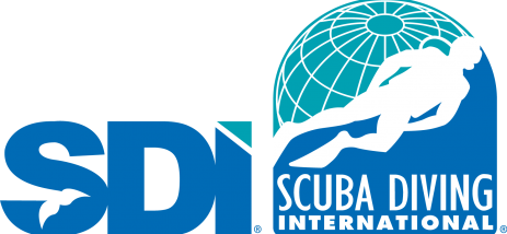 Transparent SDI Logo Color